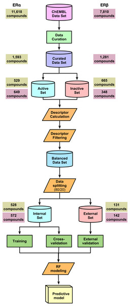 Schematic representation of the methodological workflow of this study.