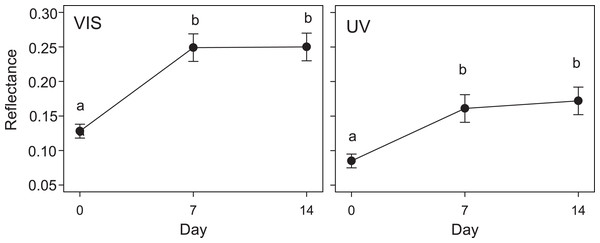 Variation in quail egg reflectances placed in Kentish plover nests over 14 days.