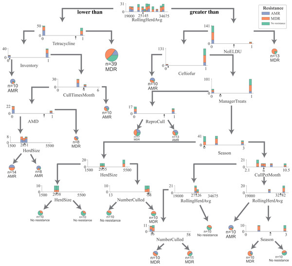 Optimum decision tree to classify cows shedding multi-drug resistant (MDR), antimicrobial-resistant (AMR), and non-resistant Salmonella, Enterococcus spp., E. coli based on management practices observed in Californian dairy herds.