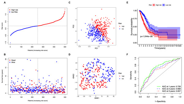 Analysis of the prognostic value of the five-gene-signature based risk score in the TCGA cohort.