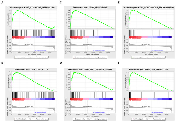 The KEGG enrichment plots of tumorigenesis pathways.