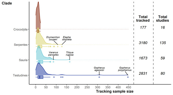 Density and box plots showing the distribution of sample sizes (tracked individuals) per study by clade.