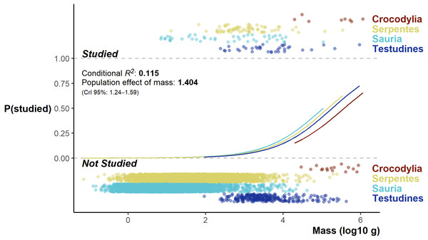 Fitted model values split by group effect of order, flanked top and below by the distribution of studied and unstudied species log10 body mass (jittered on the y-axis).