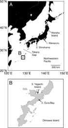 Molecular phylogenetic assessment of Spirobranchus kraussii-complex ...