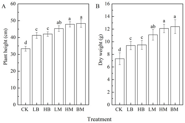 Plant height (A) and dry weight (B) of maize grown at Pb contaminated soil.