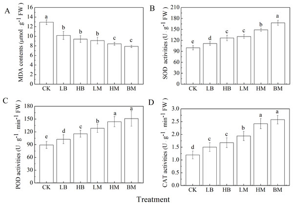 Malondialdehyde (MDA) contents (A) and activities of superoxide dismutase (SOD) (B), peroxidases (POD) (C), catalase (CAT) (D) in maize leaves grown at Pb contaminated soil.