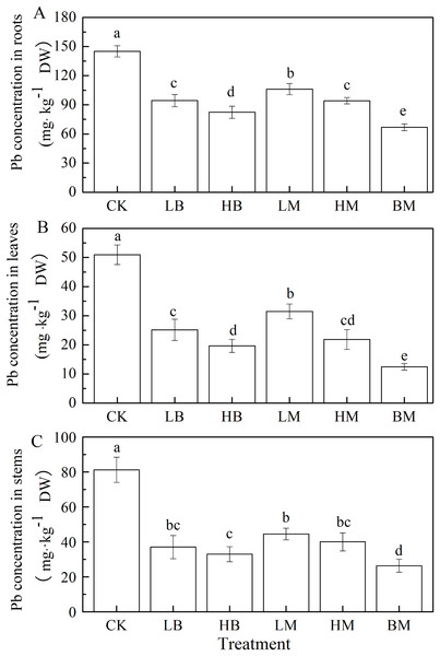 Pb concentrations in roots (A), leaves (B) and stems (C) of maize grown at Pb contaminated soil.