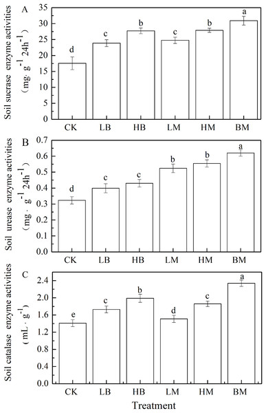 Soil enzyme activities of sucrase (A), urease (B) and catalase (C) of maize grown at Pb contaminated soil.