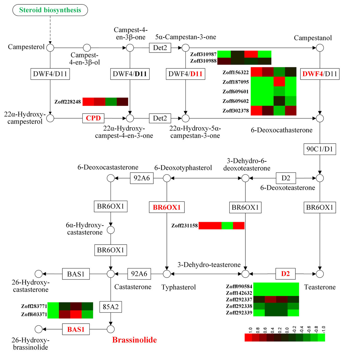 Identification and expression profile of the soil moisture and ...