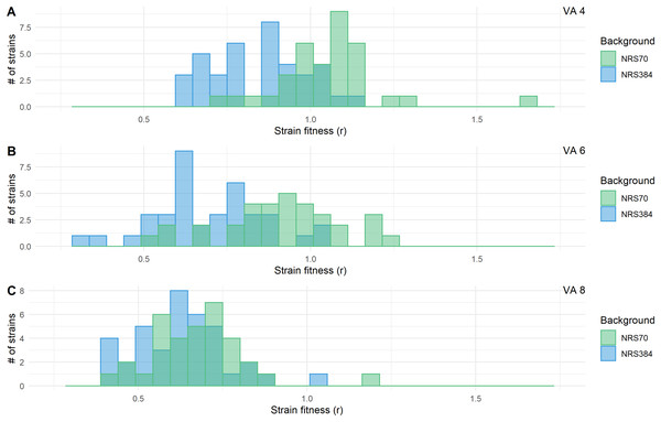 Fitness distributions at each stage of vancomycin selection for NRS70 and NRS384 strains.