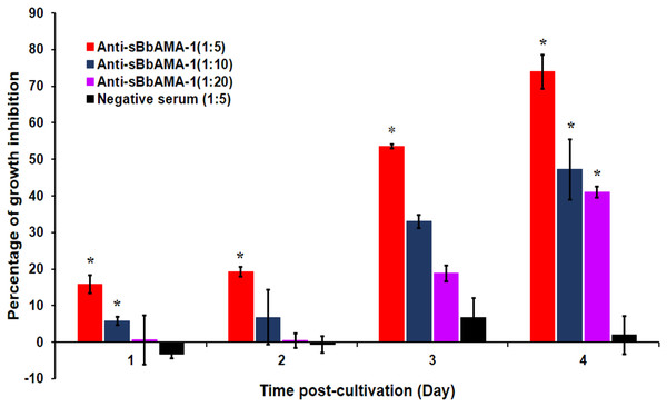 The growth-inhibitory effect of rabbit anti -sBbAMA-1 antibody on B. bovis merozoites.