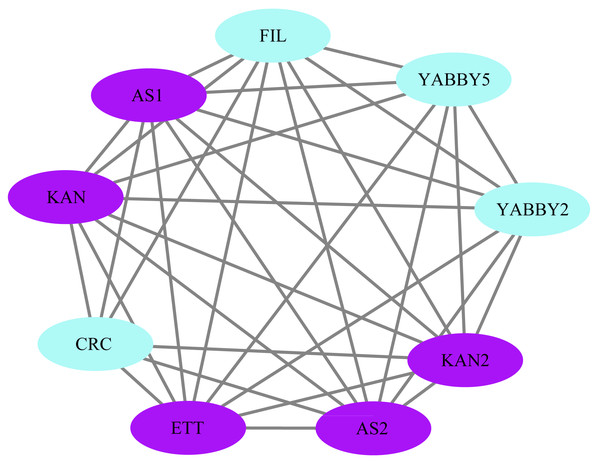 Analysis of protein interaction networks.
