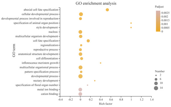 Gene ontology (GO) enrichment analysis.