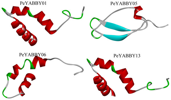 Tertiary structure analysis of YABBY proteins.