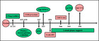 Clinical and perinatal outcomes of fresh single-blastocyst-transfer ...