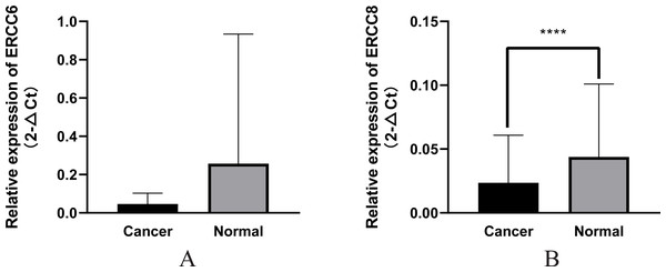 Relative mRNA expression of ERCC6/ERCC8 in GC and paired normal tissues.