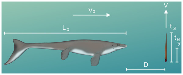 Diagram of vertical predator escape and related terms.