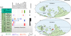 Furongian (Jiangshanian) occurrences of radiodonts in Poland and South ...