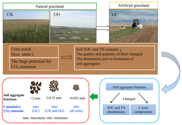 Conceptional diagram in explaining the mechanisms of land use change on soil CO2 emission among soil aggregate fractions.