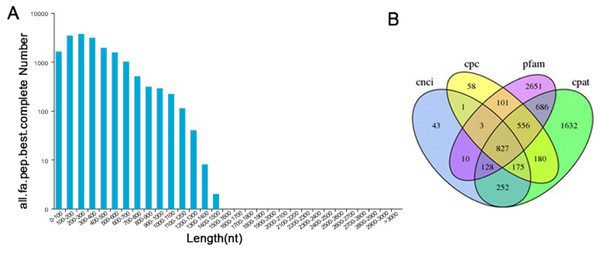 Information on the distribution of ORFs and lncRNAs.