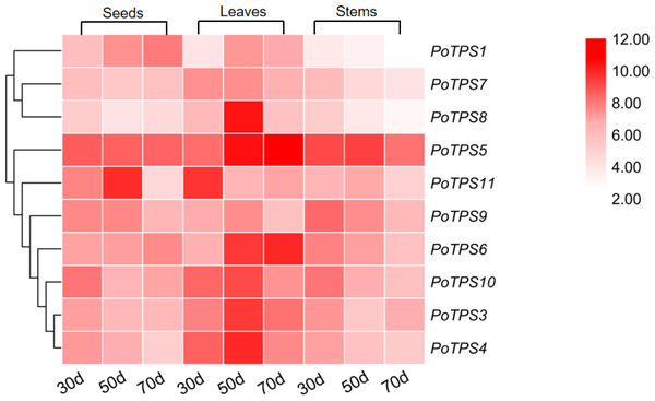 Expression profiles of the 10 PoTPS genes in different tissues and different periods.