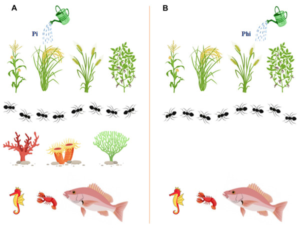 The graphical illustration to display the safety of ptxD/Phi selection system on different organisms and the environment, and showing the added advantages to enhance transgenic plants growth.