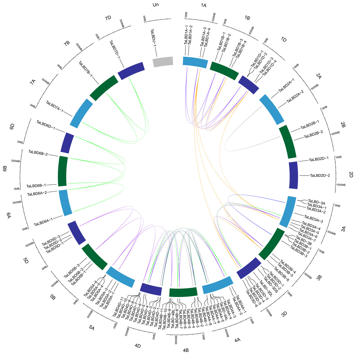 Genome-wide identification and characterization of the Lateral 