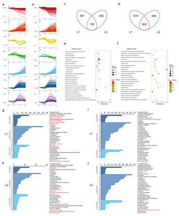 Co-expression network and comparative transcriptome analysis for fiber ...