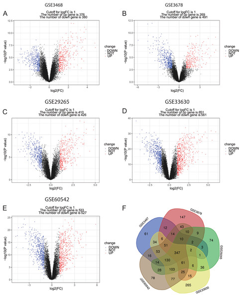 Volcano plots and Venn diagram of DEGs.