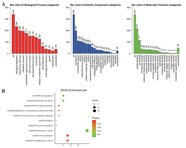 The enrichment analysis for DEGs in PTC.