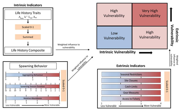 Flow chart illustrating the process of calculating intrinsic and extrinsic vulnerability scores.