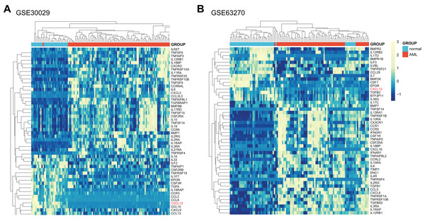 Expression heat map of differentially expressed cytokine and cytokine receptor genes between AML patients and normal controls.
