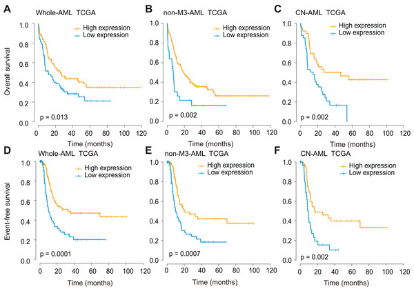Survival analysis of CXCL12 using the TCGA cohort.