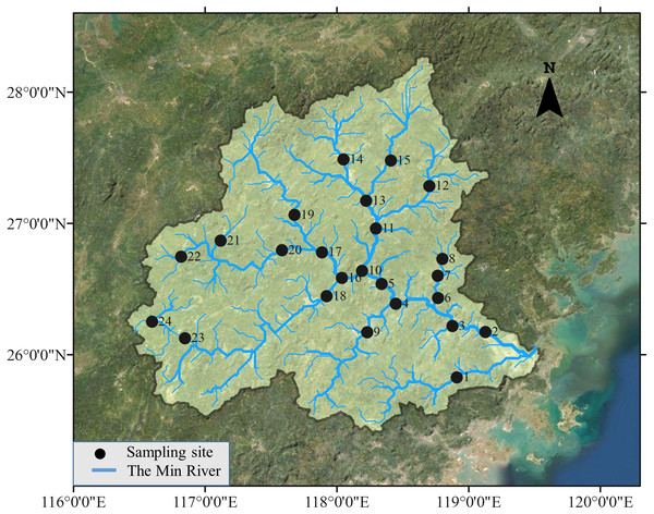 Study area and sampling sites.