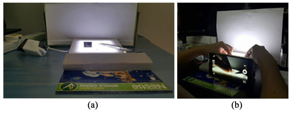 Set up for the image acquisition for beak samples of the studied cephalopods: (A) Lightbox; (B) the smartphone was used to capture the photos of the beaks.