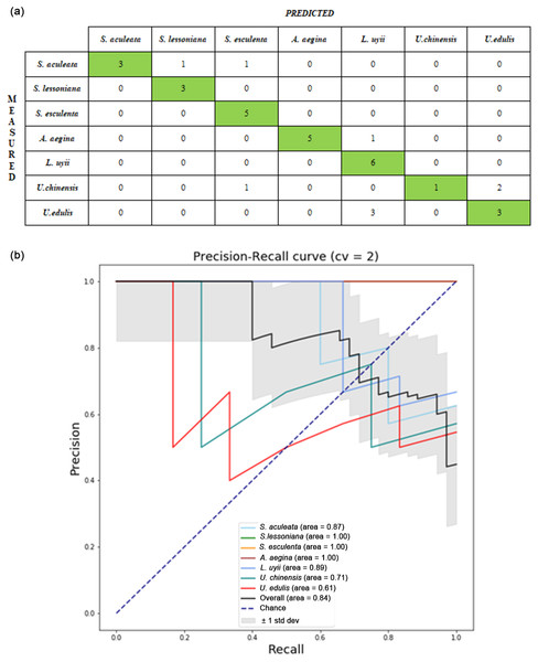 Performance evaluation from one of the runs in the ANN model with hybrid descriptor (colour HOG +MSD) of lower beak images: (A) confusion matrix; (B) precision-recall curve.