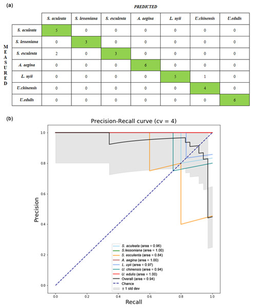 Performance evaluation from one of the runs in the VGG19-ANN model of lower beak images: (A) confusion matrix; (B) precision-recall curve.