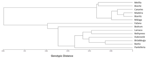 A genotype-based tree of the Chthamalus stellatus populations.