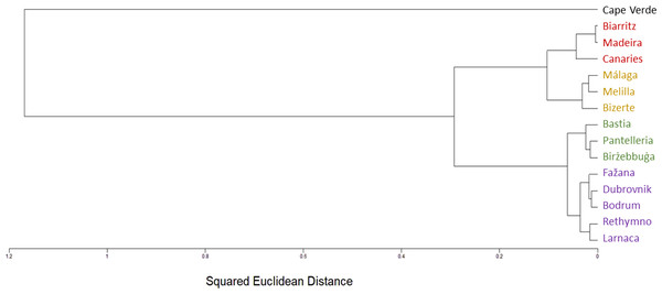 Chthamalus stellatus populations and the cryptic species of Chthamalus from Cape Verde SNP population method tree with squared Euclidean distance and furthest neighbor clustering.