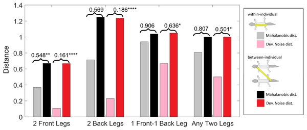 Distances of leg patterns.