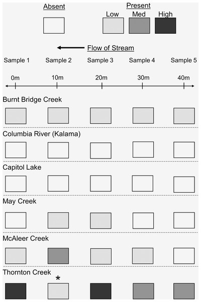 Summary of eDNA sampling array per site.