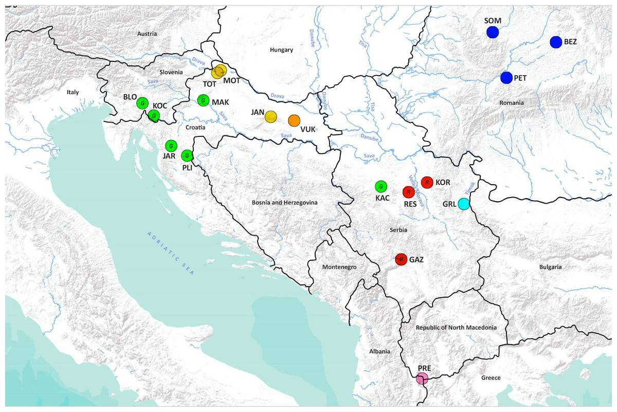 Genetic diversity and structure of the noble crayfish populations in ...
