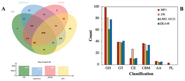Comparative genomes between C. cellulans MP1 and three other C. cellulans strains.