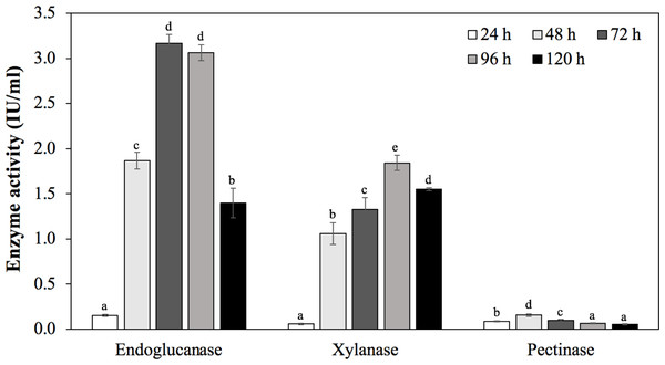 Enzymatic activities of C. cellulans MP1 observed in different incubation periods.