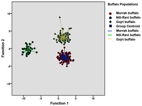 Canonical Discriminant Analysis (Scatter Plot) based on 13 body morphometric traits depicted three different buffalo populations from Northern India.
