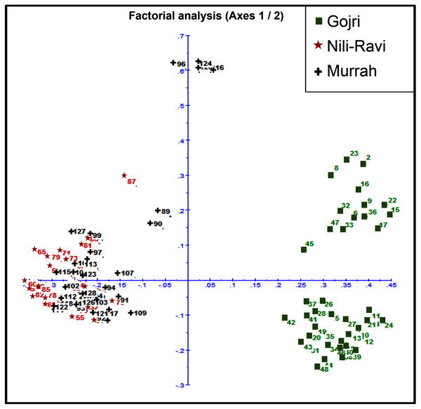 Scatter plot for Factorial Correspondence Analysis based on genetic diversity indices depicted three different buffalo populations from Northern India.