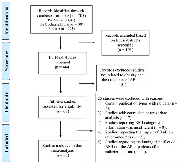 Overview of the research strategy.