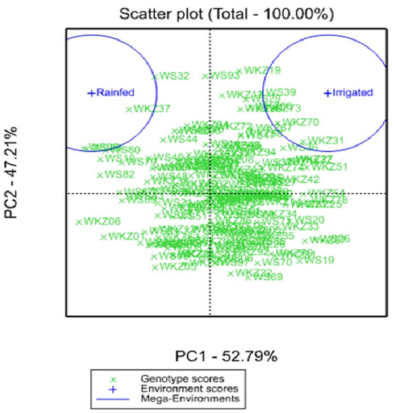 Scattered GGE biplot graph of data on averaged yield per square meter (YM2) in the collection of 179 common wheat accessions tested in irrigated and rainfed conditions (2018, 2019 and 2020).