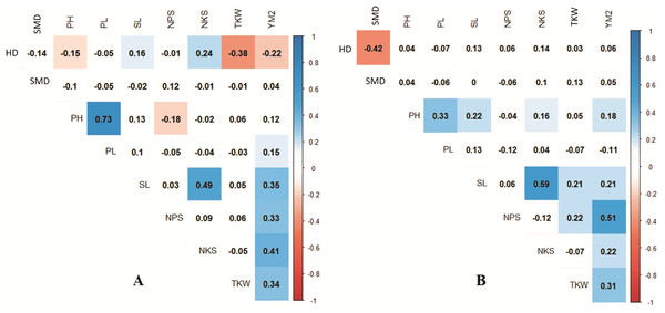 Correlation analysis for the nine agronomic traits analyzed in the collection of 179 spring wheat accessions tested in rainfed (A) and irrigated (B) conditions.