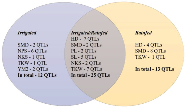 Number of QTLs identified under irrigated, rainfed, and both conditions in Northern Kazakhstan in 2018, 2019 and 2020.